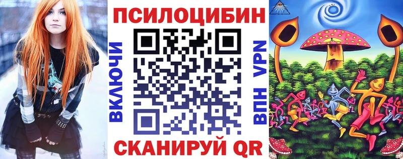 Псилоцибиновые грибы Psilocybine cubensis  Купить закладки  Тогучин 